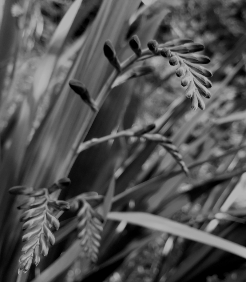 Illustration for article titled Photo Mission Gallery: Signs of Summer